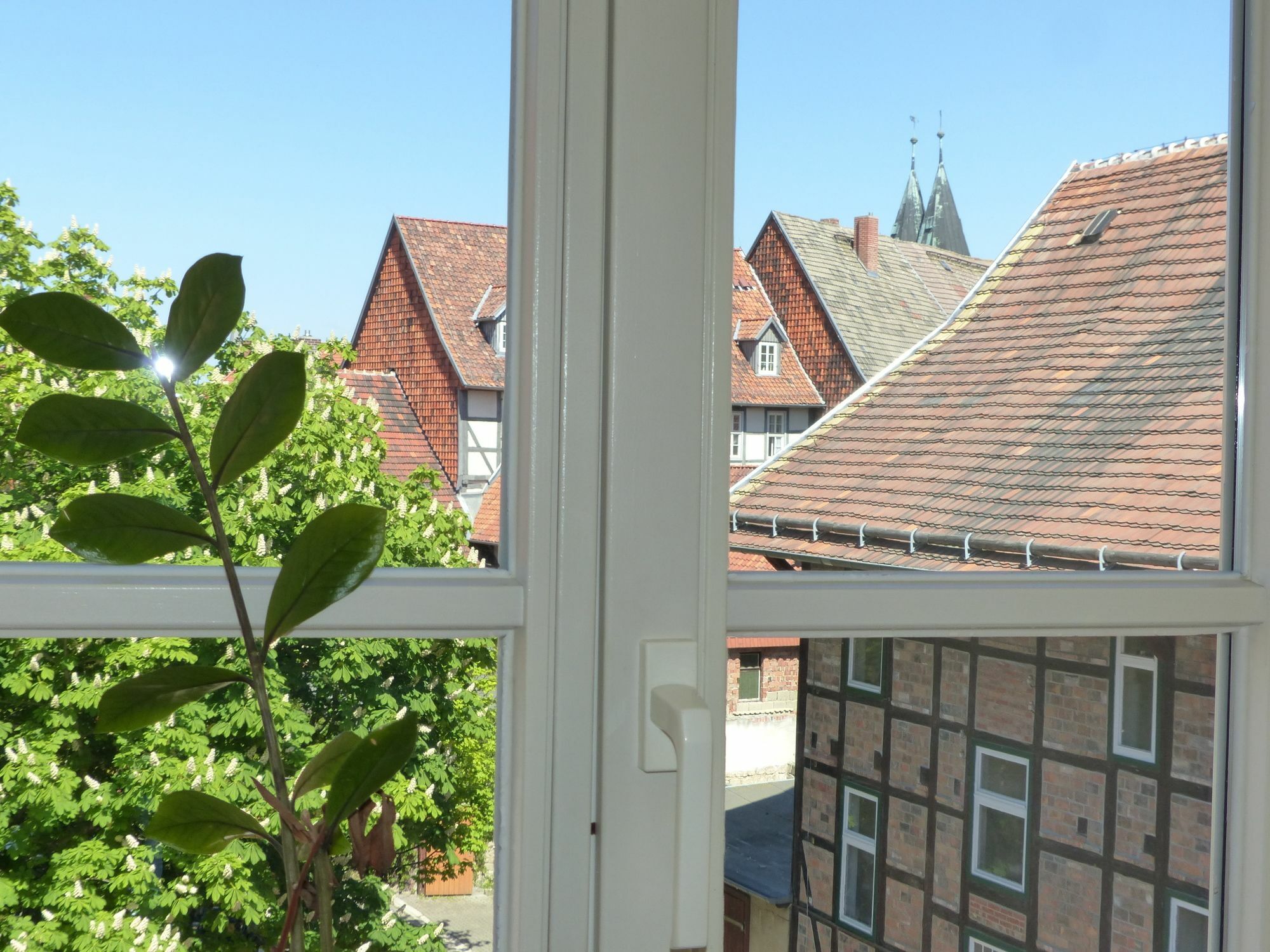 Hotel Zum Brauhaus Quedlinburg Εξωτερικό φωτογραφία