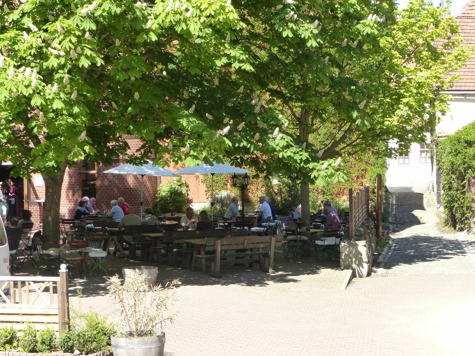 Hotel Zum Brauhaus Quedlinburg Εξωτερικό φωτογραφία